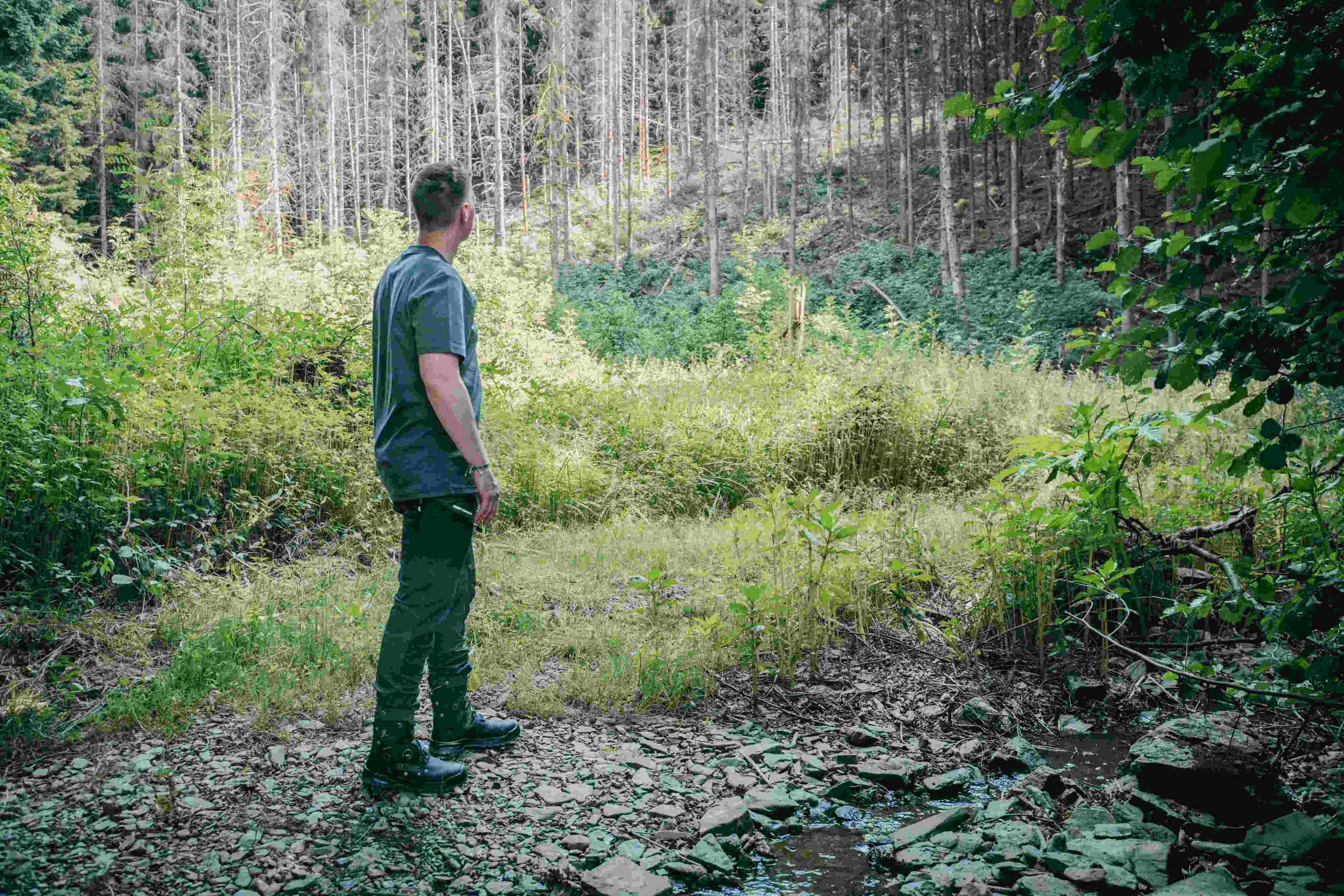 EXTRAGUARD XT 1050 BOA GTX Sicherheitsschuh S3