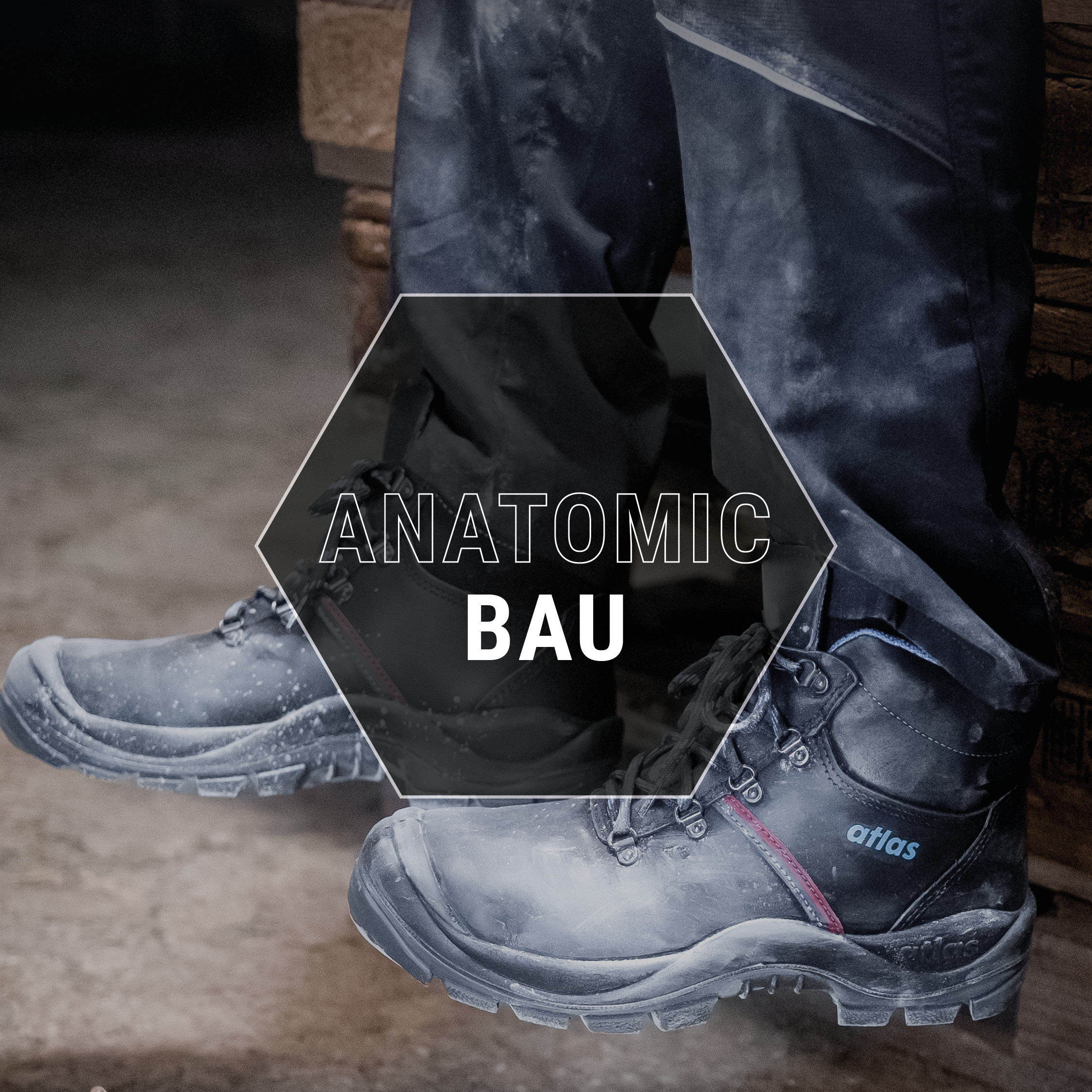 ANATOMIC BAU