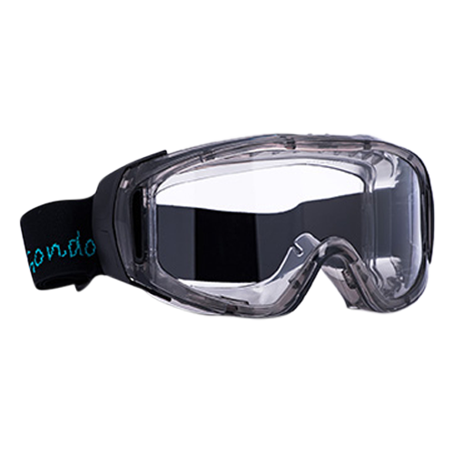 Vollsichtbrille GONDOR PC AF AS UV