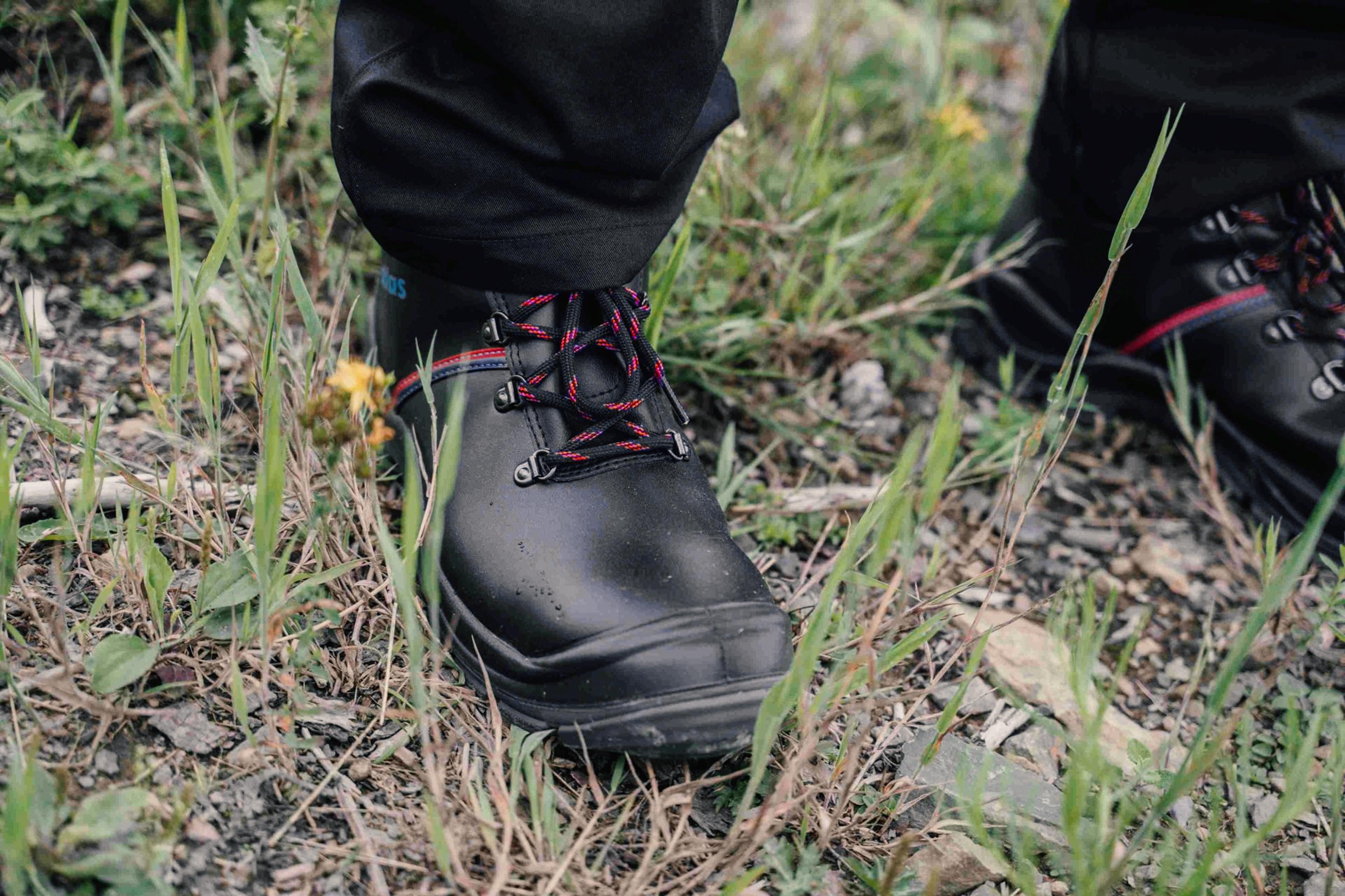 ANATOMIC BAU 500 S3P Sicherheitsschuh - Jubiläumsedition 115